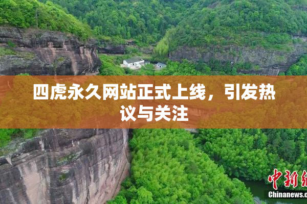 四虎永久网站正式上线，引发热议与关注