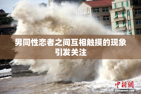 男同性恋者之间互相触摸的现象引发关注