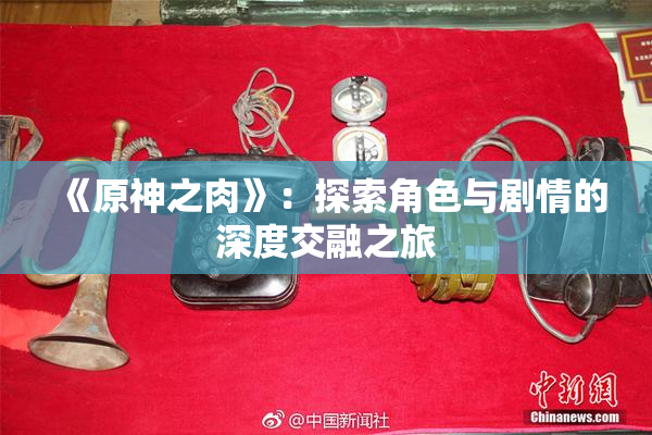 《原神之肉》：探索角色与剧情的深度交融之旅