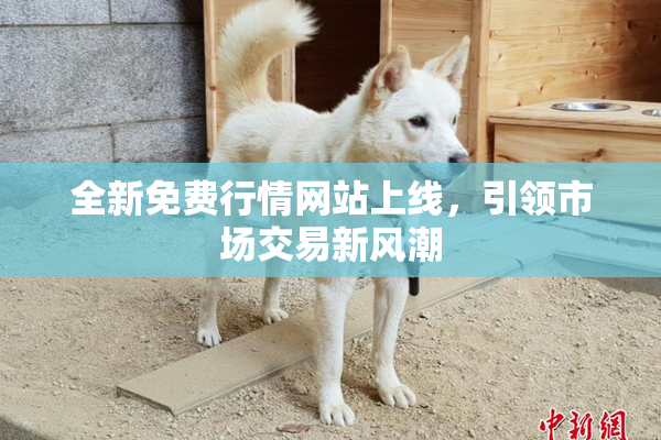 全新免费行情网站上线，引领市场交易新风潮