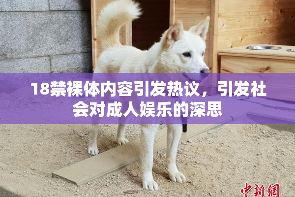 18禁裸体内容引发热议，引发社会对成人娱乐的深思