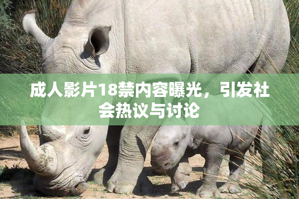 成人影片18禁内容曝光，引发社会热议与讨论
