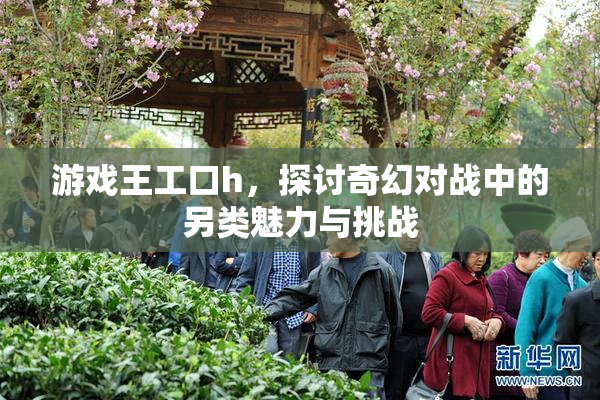 游戏王工口h，探讨奇幻对战中的另类魅力与挑战