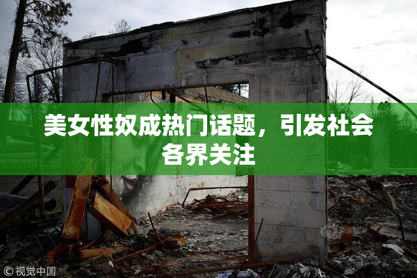 美女性奴成热门话题，引发社会各界关注