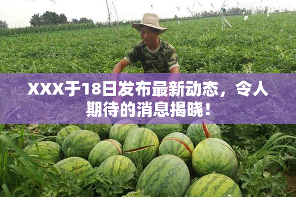 XXX于18日发布最新动态，令人期待的消息揭晓！