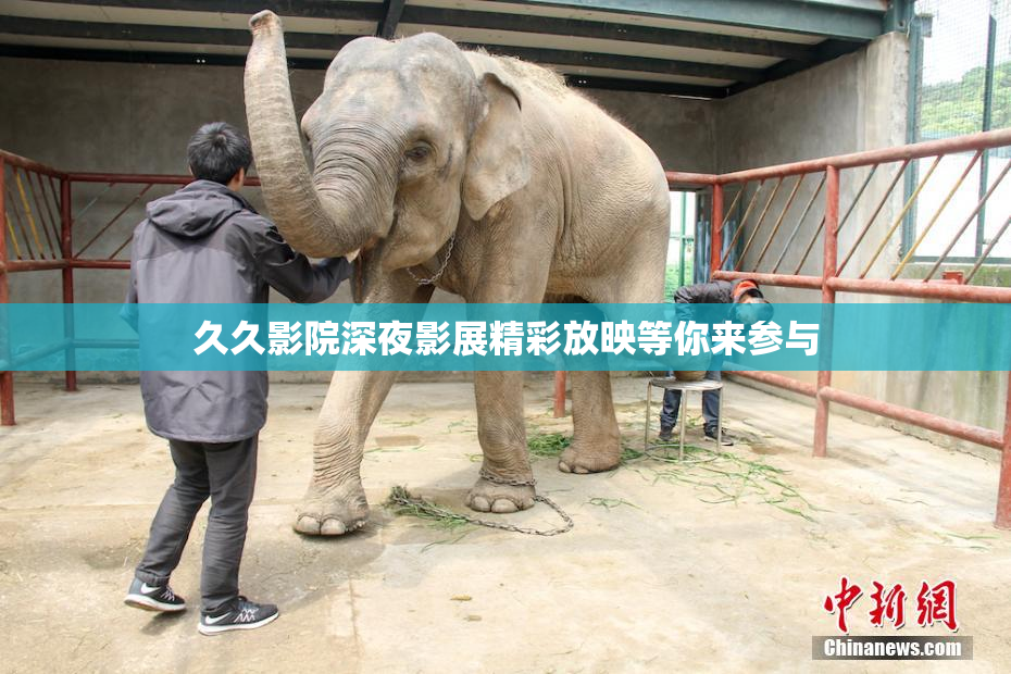 久久影院深夜影展精彩放映等你来参与