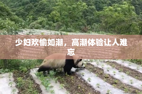 少妇欢愉如潮，高潮体验让人难忘