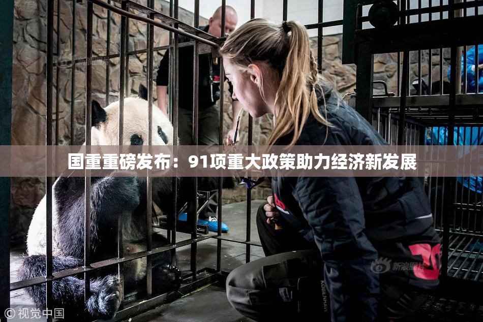 国重重磅发布：91项重大政策助力经济新发展