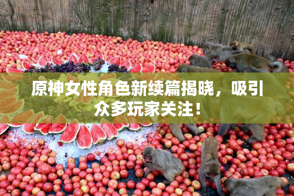 原神女性角色新续篇揭晓，吸引众多玩家关注！