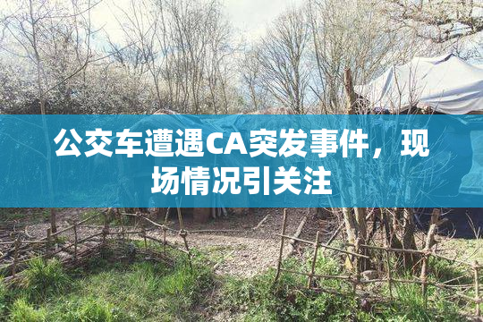 公交车遭遇CA突发事件，现场情况引关注