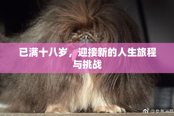 已满十八岁，迎接新的人生旅程与挑战
