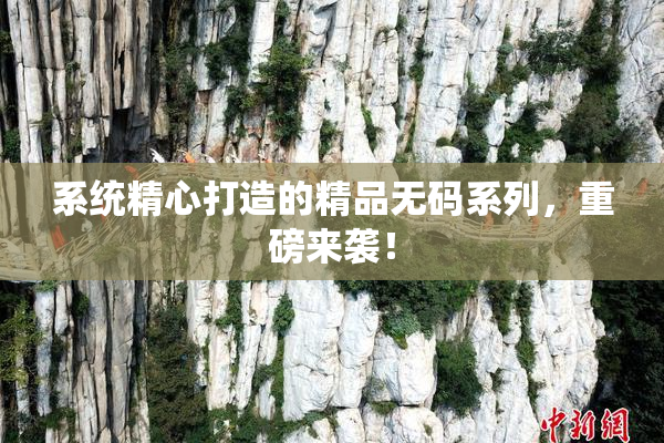 系统精心打造的精品无码系列，重磅来袭！