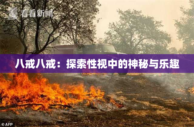 八戒八戒：探索性视中的神秘与乐趣