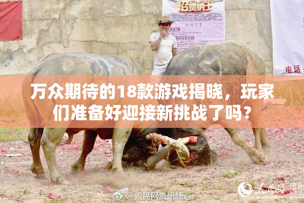 万众期待的18款游戏揭晓，玩家们准备好迎接新挑战了吗？