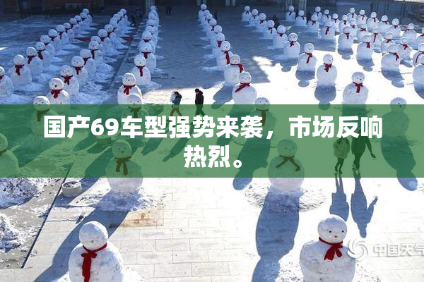 国产69车型强势来袭，市场反响热烈。
