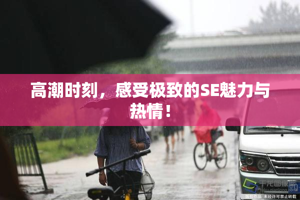 高潮时刻，感受极致的SE魅力与热情！