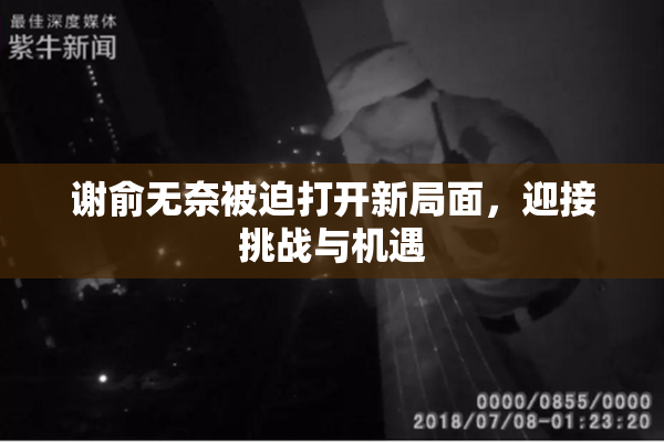 谢俞无奈被迫打开新局面，迎接挑战与机遇