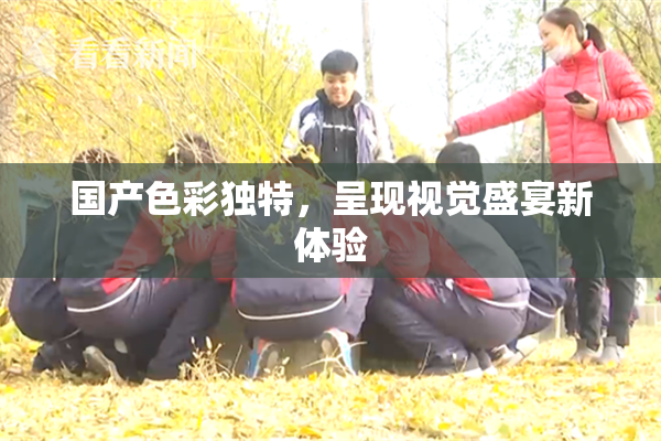 国产色彩独特，呈现视觉盛宴新体验