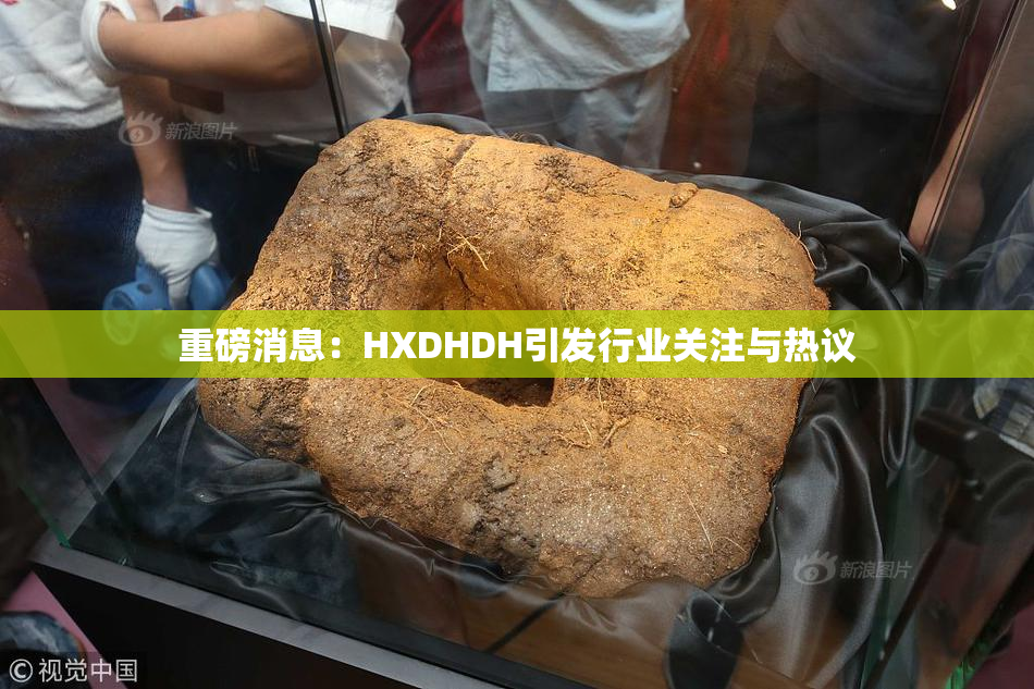 重磅消息：HXDHDH引发行业关注与热议