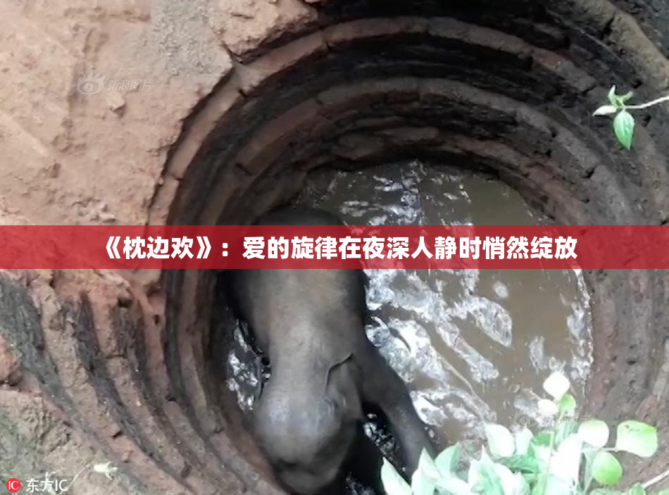 《枕边欢》：爱的旋律在夜深人静时悄然绽放