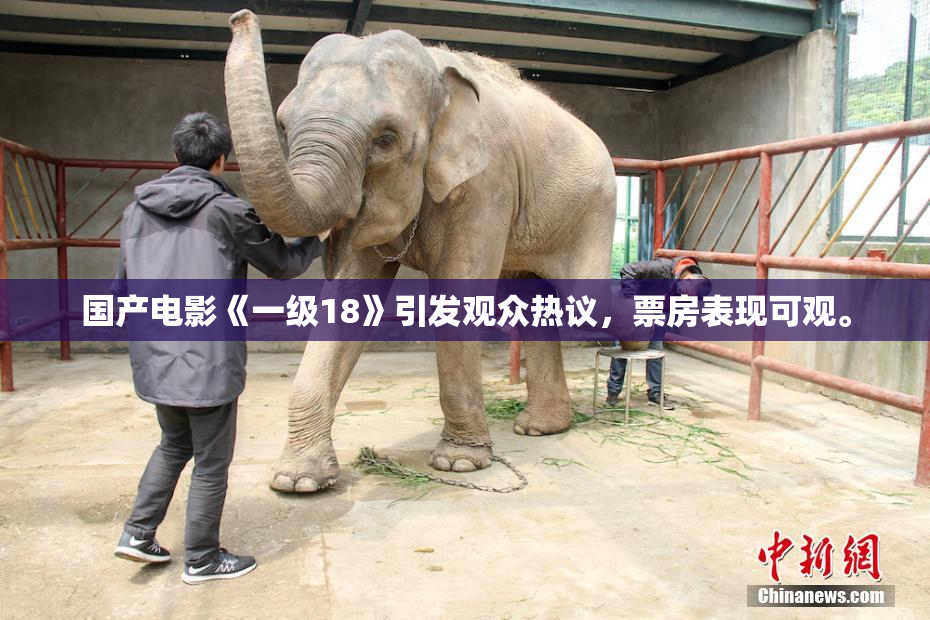 国产电影《一级18》引发观众热议，票房表现可观。