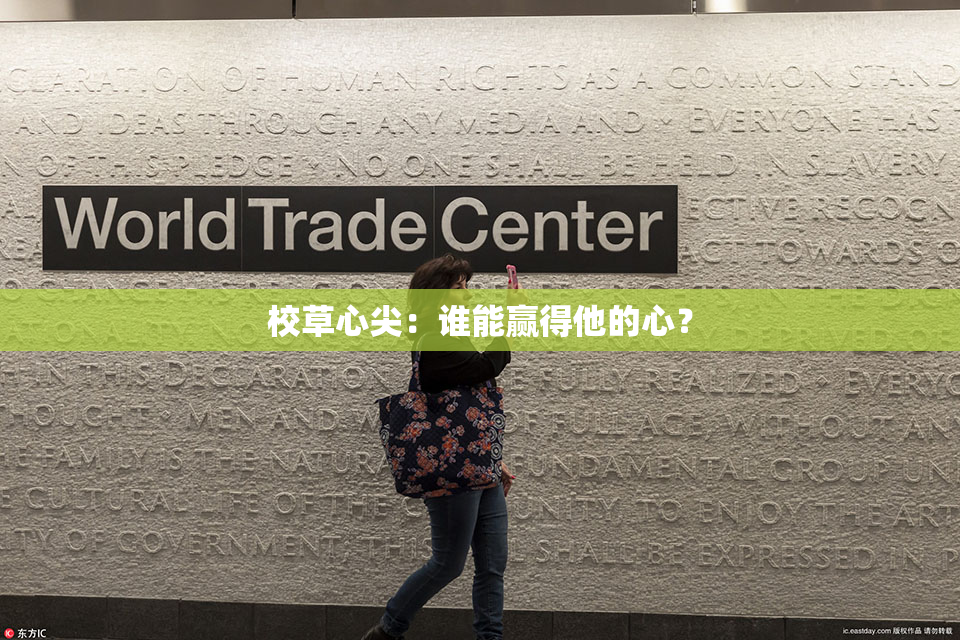 校草心尖：谁能赢得他的心？