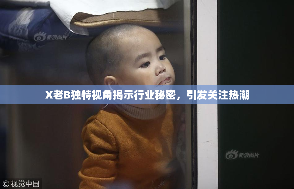 X老B独特视角揭示行业秘密，引发关注热潮