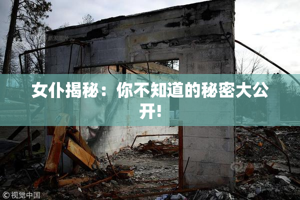 女仆揭秘：你不知道的秘密大公开!