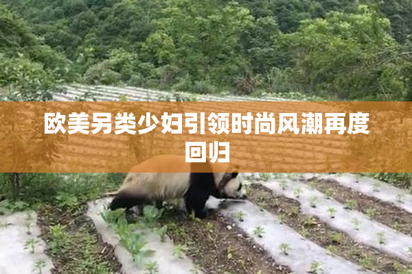 欧美另类少妇引领时尚风潮再度回归