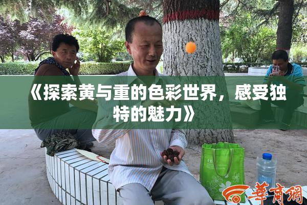 《探索黄与重的色彩世界，感受独特的魅力》