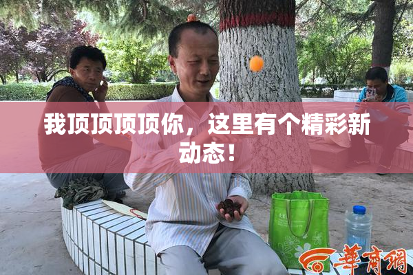 我顶顶顶顶你，这里有个精彩新动态！