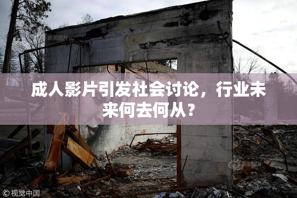 成人影片引发社会讨论，行业未来何去何从？