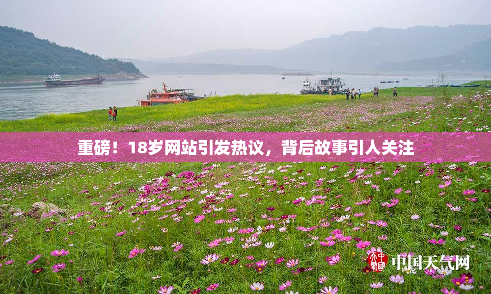 重磅！18岁网站引发热议，背后故事引人关注