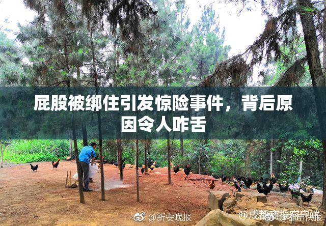 屁股被绑住引发惊险事件，背后原因令人咋舌