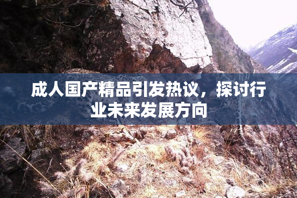 成人国产精品引发热议，探讨行业未来发展方向