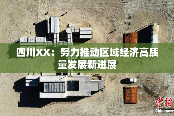四川XX：努力推动区域经济高质量发展新进展
