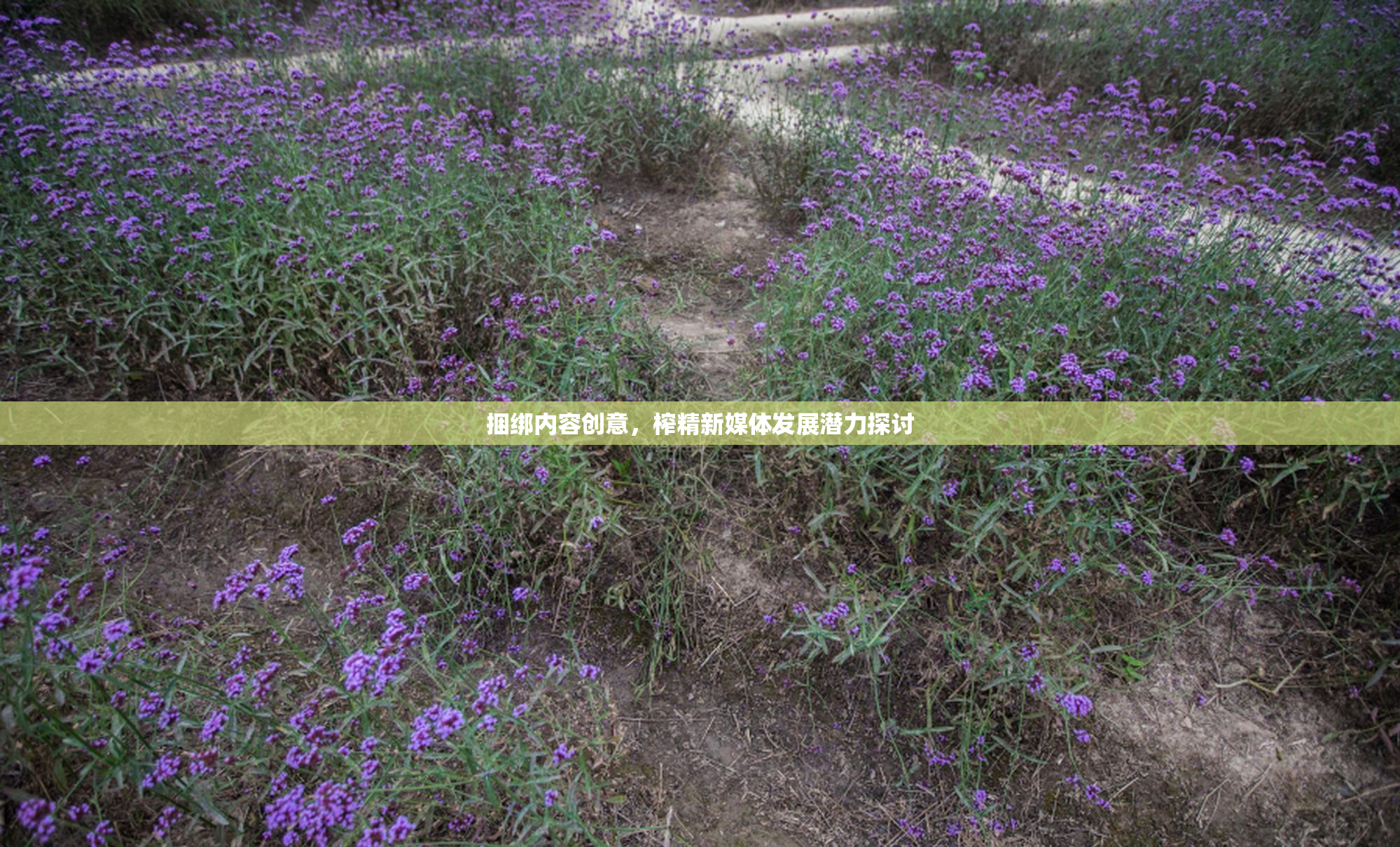 捆绑内容创意，榨精新媒体发展潜力探讨