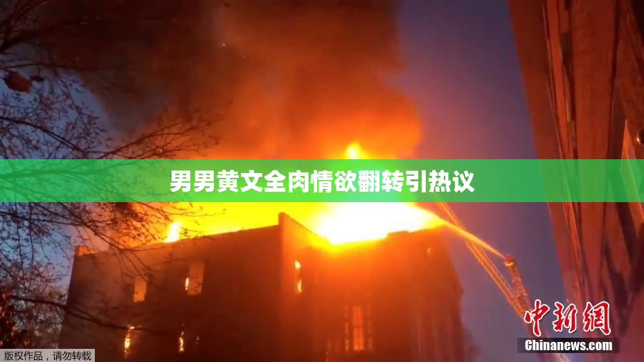 男男黄文全肉情欲翻转引热议
