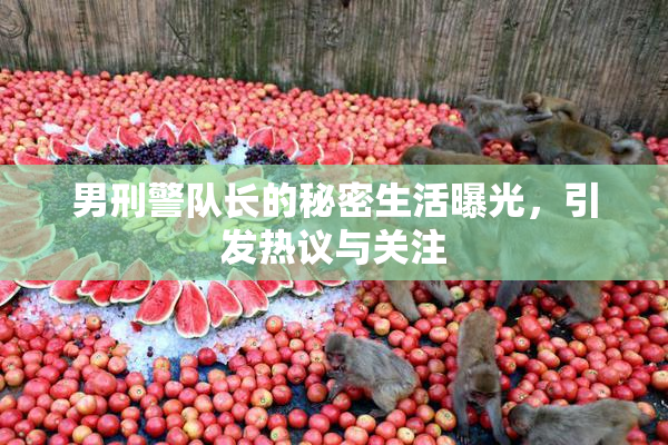 男刑警队长的秘密生活曝光，引发热议与关注