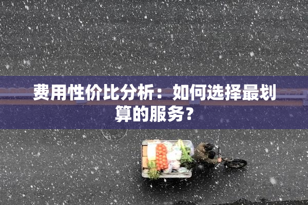 费用性价比分析：如何选择最划算的服务？