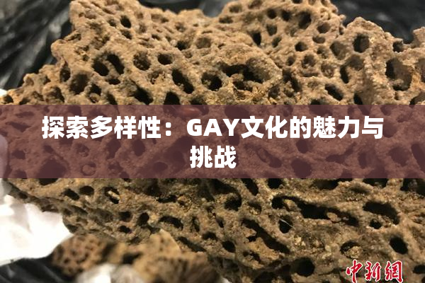 探索多样性：GAY文化的魅力与挑战