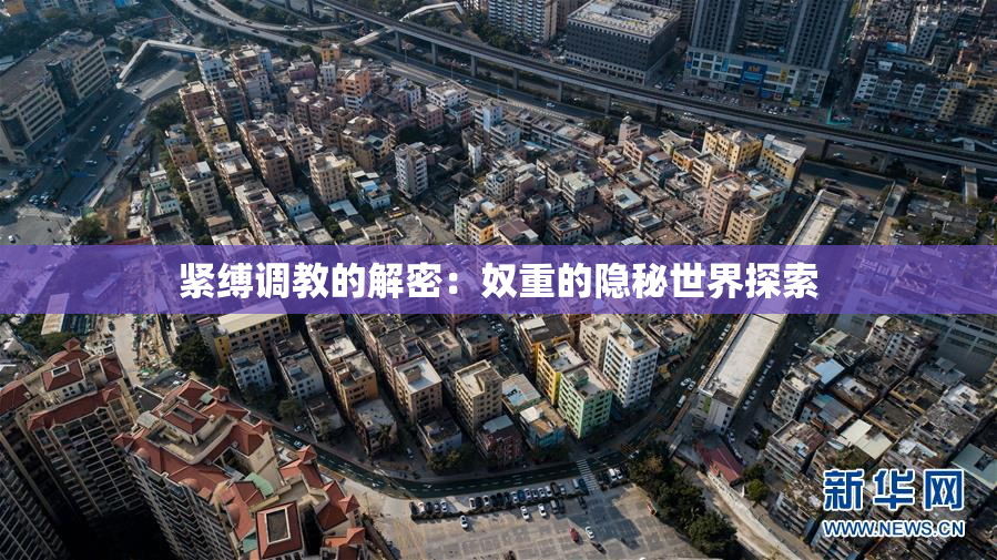 紧缚调教的解密：奴重的隐秘世界探索