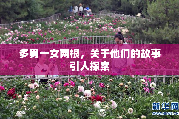 多男一女两根，关于他们的故事引人探索