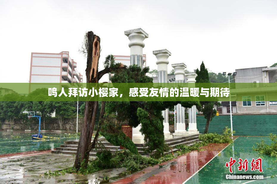 鸣人拜访小樱家，感受友情的温暖与期待