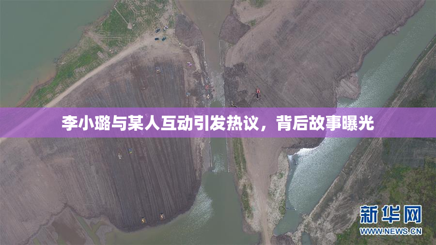 李小璐与某人互动引发热议，背后故事曝光
