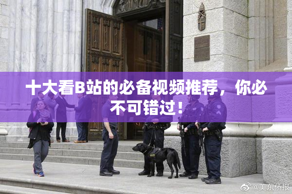 十大看B站的必备视频推荐，你必不可错过！