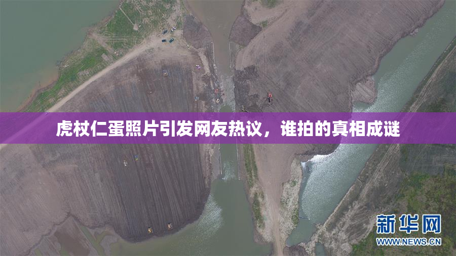 虎杖仁蛋照片引发网友热议，谁拍的真相成谜