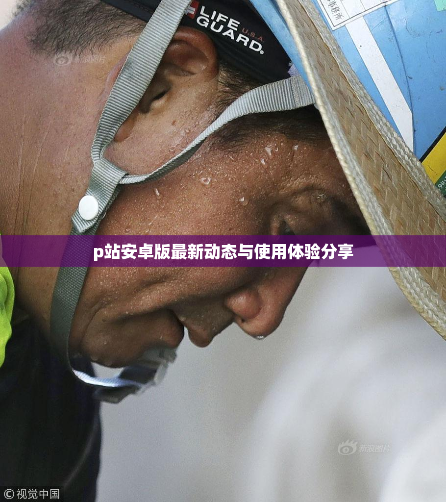 p站安卓版最新动态与使用体验分享