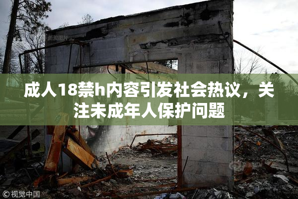 成人18禁h内容引发社会热议，关注未成年人保护问题