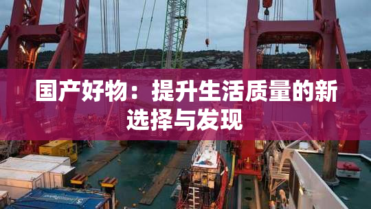 国产好物：提升生活质量的新选择与发现